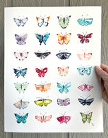 Crayon Box Butterflies - Limited Edition Watercolor Art Print