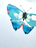 Electric Blue Butterfly - Greeting Card