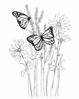 Free Monarch Coloring Page