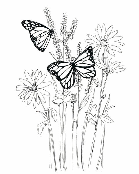Free Monarch Coloring Page