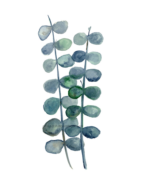 Eucalyptus - Watercolor Art Print